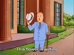 Image from the animated series King of the Hill. In this image, Bobby Hill, dressed in a blue suit, is holding a walking stick and fanning himself with a hat. Text reads, This flower is wilting.