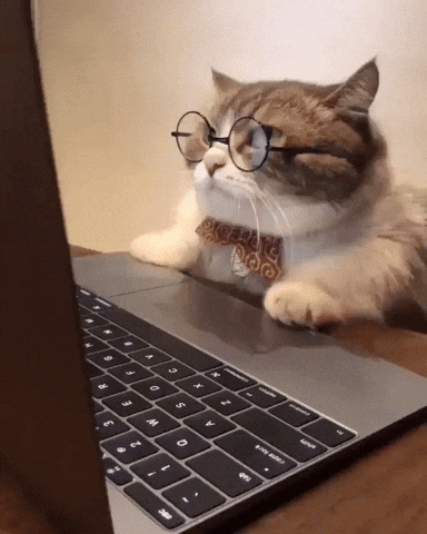 A gif of a cat in glasses and a bow-tie hissing at the screen of a laptop like a he just saw Reviewer 2's comments